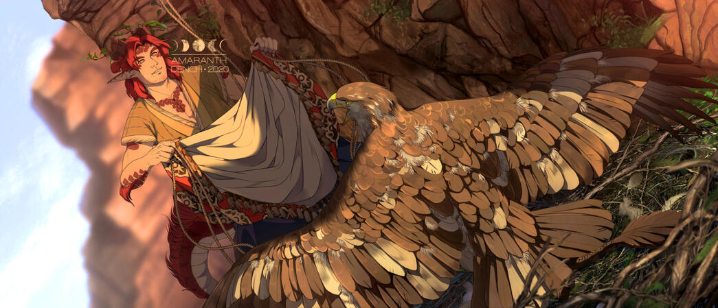 Timeless: Eagle Capture